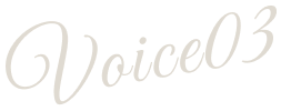 voice03